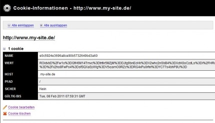 Cookie Informationen aus der Firefox Webdeveloper Toolbar