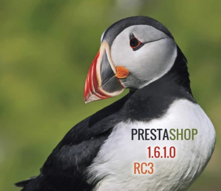 ps-puffin